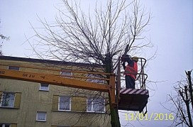 Władysława Łokietka 