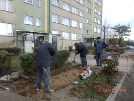 Jagiellońskie 27
