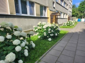 Osiedlowe ogródki