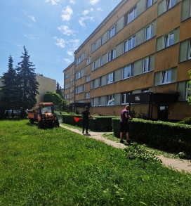 Dbamy o zieleń na naszym osiedlu